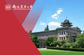 南京农业大学MPA