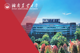 湖南农业大学MPA