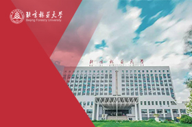 北京林业大学MPA